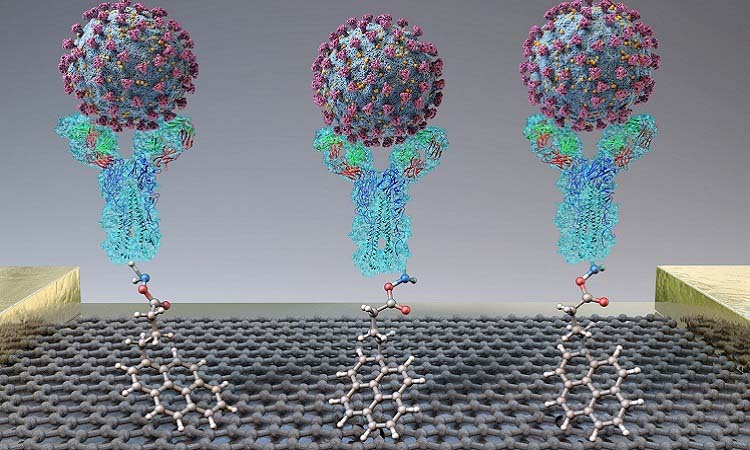 vật liệu sinh học - ứng dụng nano bạc