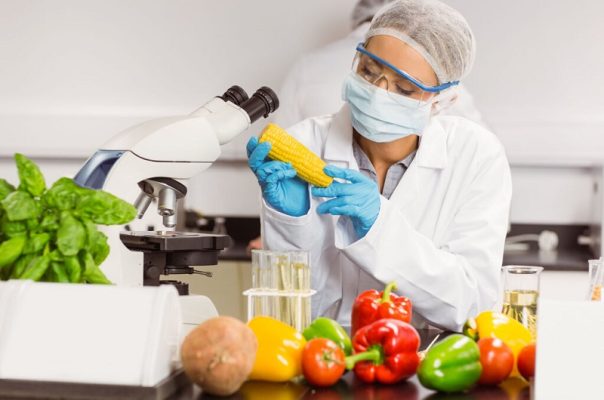 Ứng dụng kỹ thuật sắc ký trong kiểm nghiệm chất lượng rau củ quả